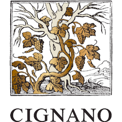 Cignano